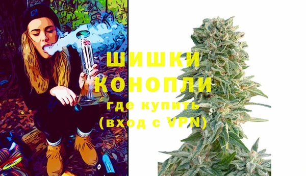 твердый Алзамай
