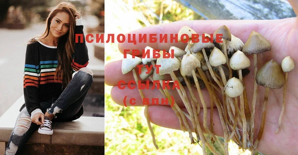 а пвп мука Алексин
