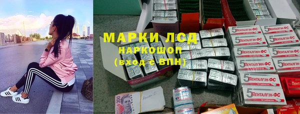 сатива Алексеевка