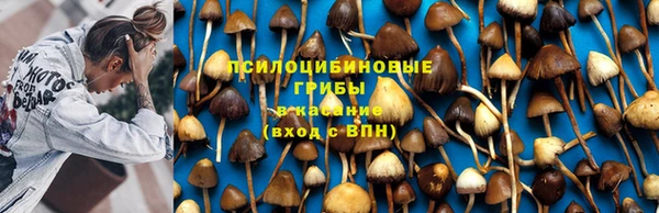 а пвп мука Алексин