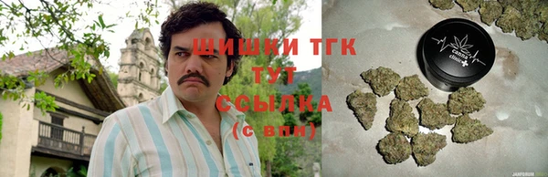 сатива Алексеевка